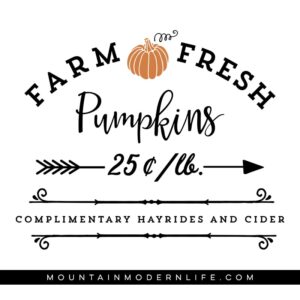 Farm Fresh Pumpkins SVG File